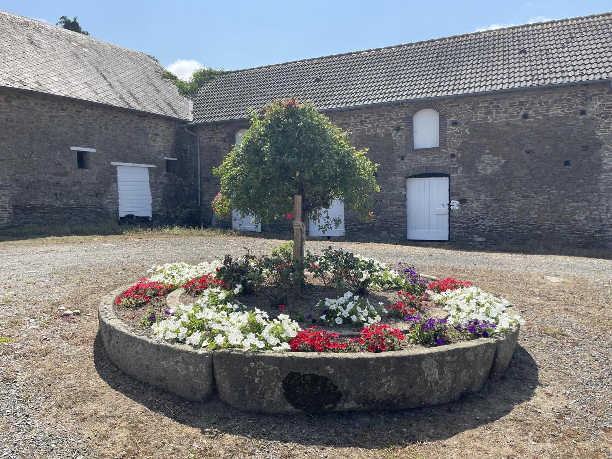B&B Chambres D'Hotes Ferme Mahyas Saint-Jean-de-Savigny Exteriör bild